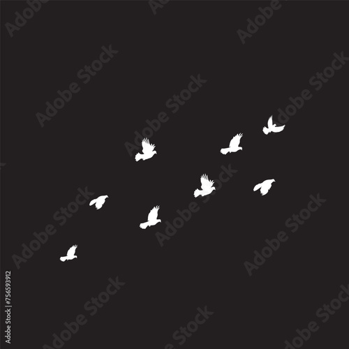 Silhouette of a flock of white pigeons on a black background