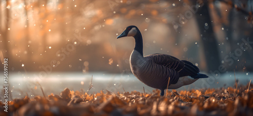 a cinematic and Dramatic portrait image for goose