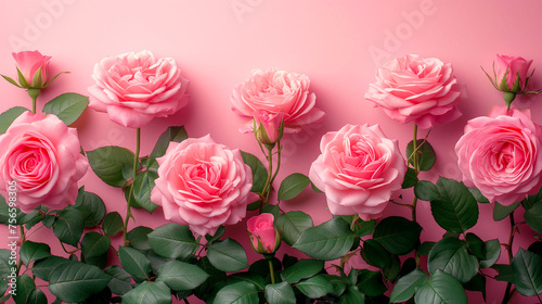 Pink roses on a pink background. Flat lay, top view, copy space © Виктория Дутко