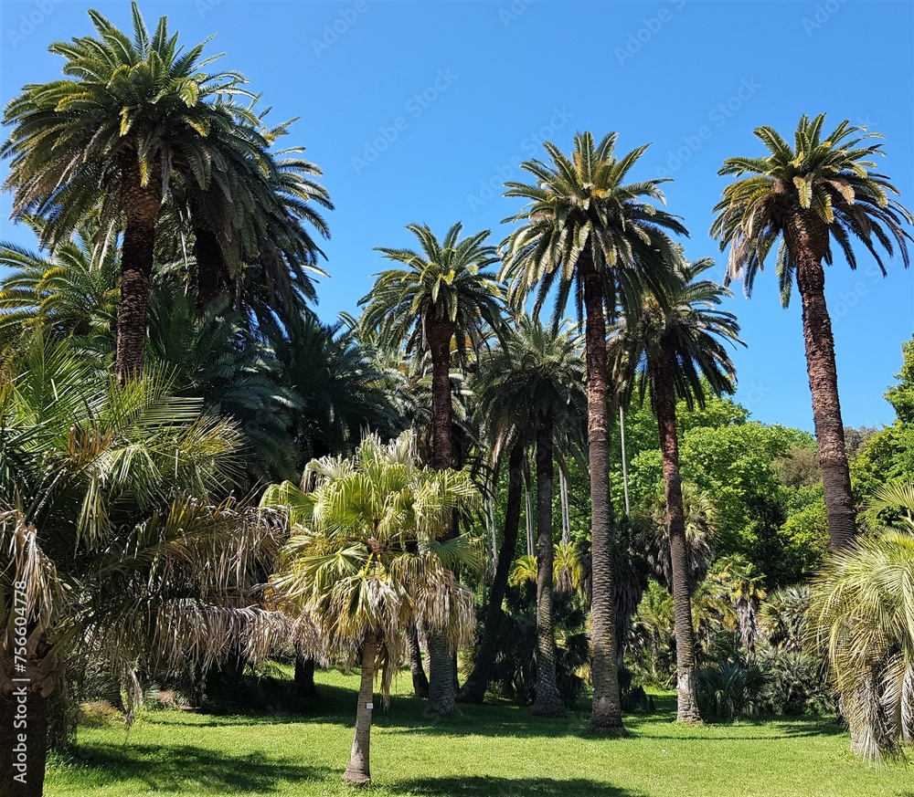 Roma Orto Botanico e Bioparco