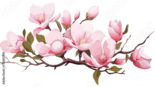 Magnolias Illustration Vector flat vector 