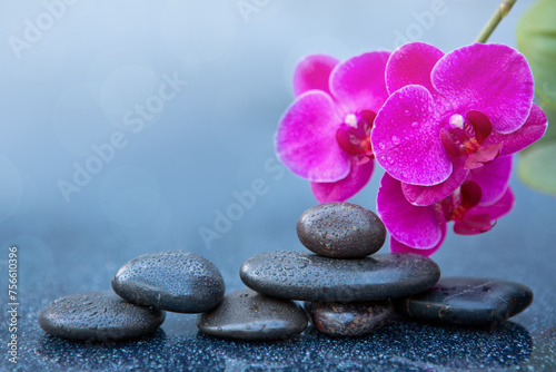 Pink orchid flowers and black spa stones on the gray table background.