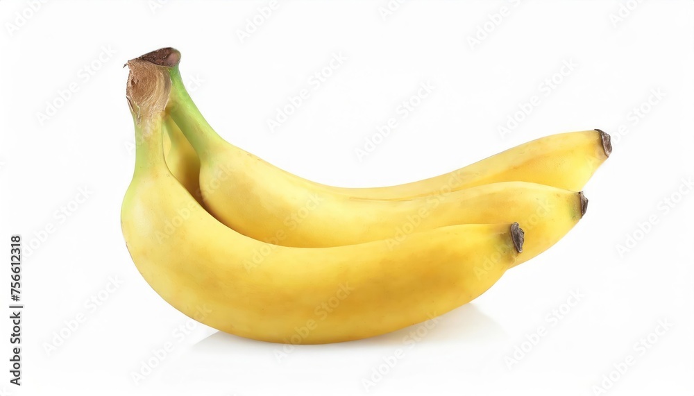 Cultivated banana isolated on a white background. Nutrients of bananas have a variety of energy, carbohydrates, proteins, vitamins, and minerals.