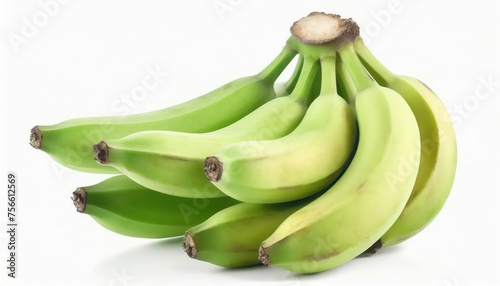 Cultivated banana isolated on a white background. Nutrients of bananas have a variety of energy, carbohydrates, proteins, vitamins, and minerals.