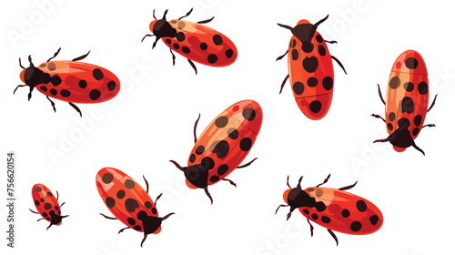 Red beetles that fly everywhere with beautiful  © Aina