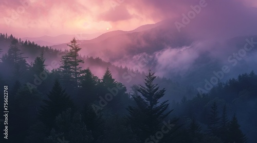 Dense Forest Under Cloudy Sky © BrandwayArt