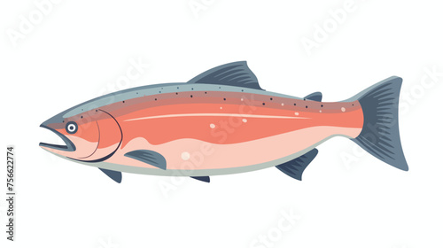 Salmon vector illustration. raw fish piece.