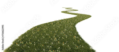 Grass path isolated on transparent background. 3D rendering.