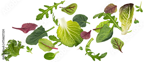 Salad leaves mix isolated on white background © xamtiw