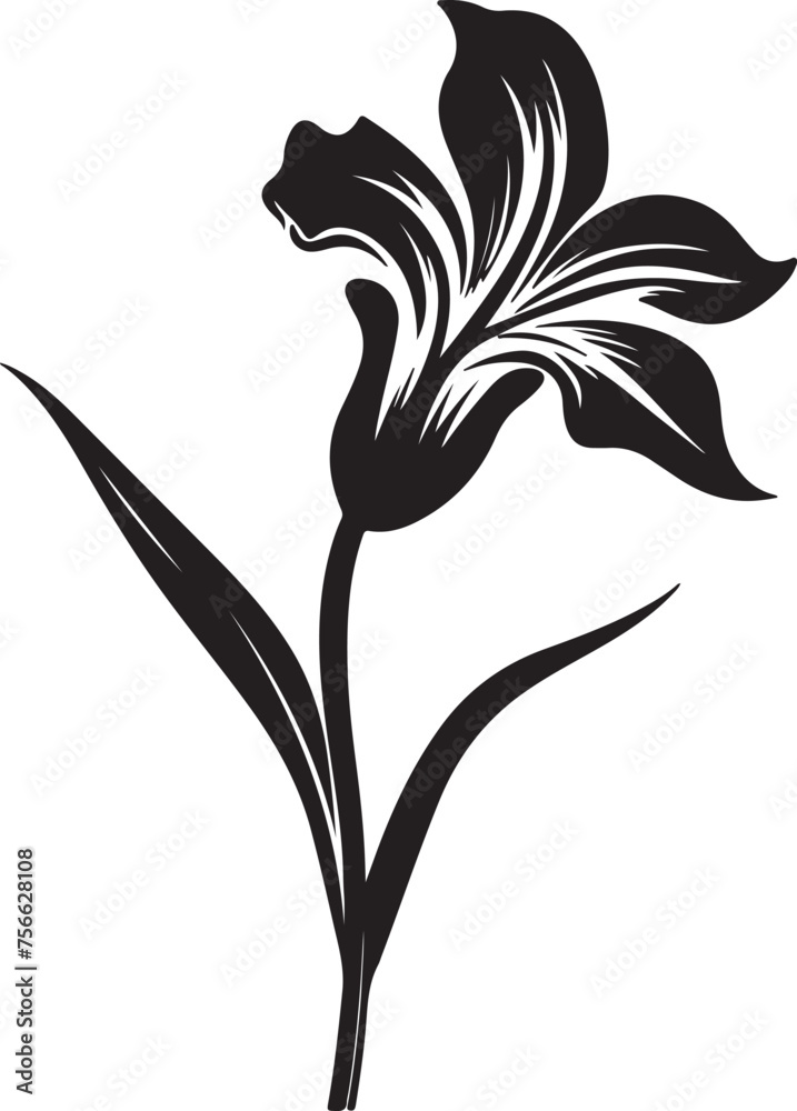 Obraz premium Daffodil Flower Silhouette Vector Illustration White Background