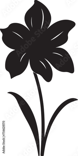 Fototapeta Naklejka Na Ścianę i Meble -  Daffodil Flower Silhouette Vector Illustration White Background