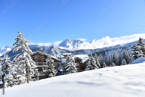 Winter scenery with snowy trees in Courchevel ski resort 