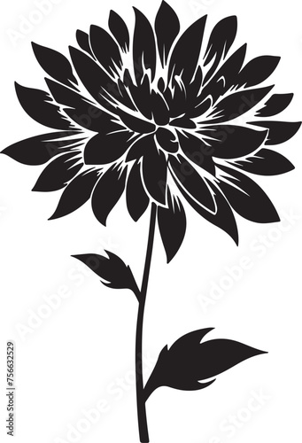 Fototapeta Naklejka Na Ścianę i Meble -  Dahlia Flower Silhouette Vector Illustration White Background