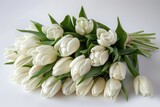 Beautiful bouquet of white tulips on a white background, Generative AI