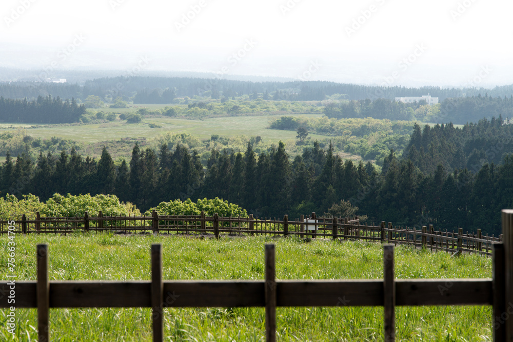 View of the green field and trees across the wooden fence