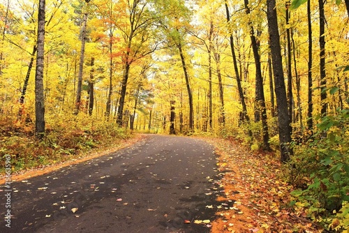 Autumn In Minnesota State Park