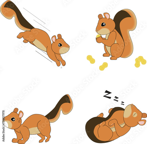 The squirrel gesture-Jump down, eat the nut, threaten and prepare to fight, sleep, cute brown squirrel, squirrel vector