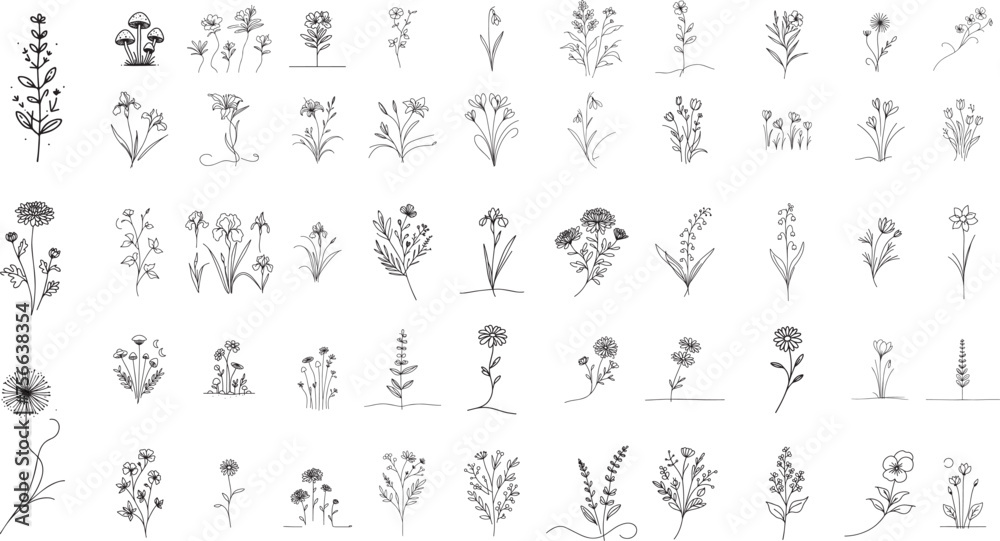 collection of wild field flowers and herbs, minimalist doodle line art, black vector graphic - obrazy, fototapety, plakaty 