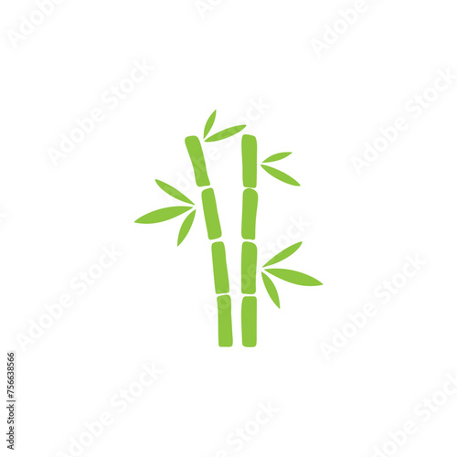 Green bamboo illustration