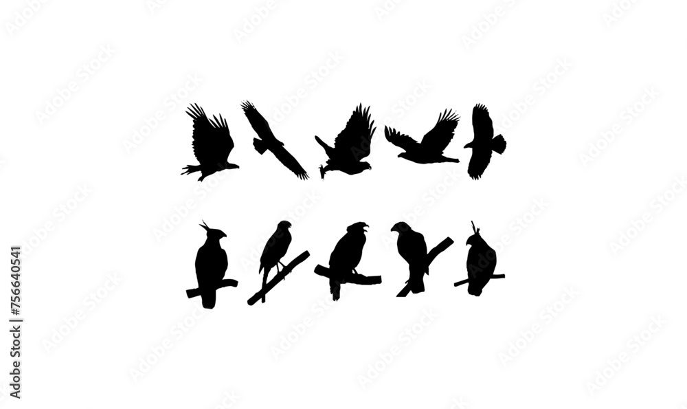 eagle silhouette vector, flat design animal silhouette, birds silhouette vector design, bird logo icon, bird symbol, eagle silhouette vector, flat design animal silhouette, birds silhouette vector design, bird logo icon, bird symbol,