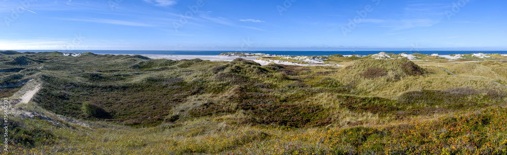 Panorama, dunes on the North Frisian Island Amrum in Germany	
