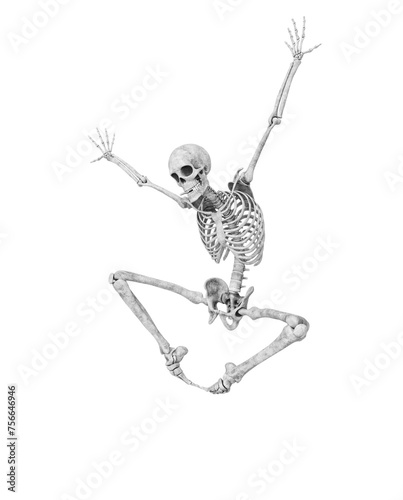structural skeleton is jumping like spider