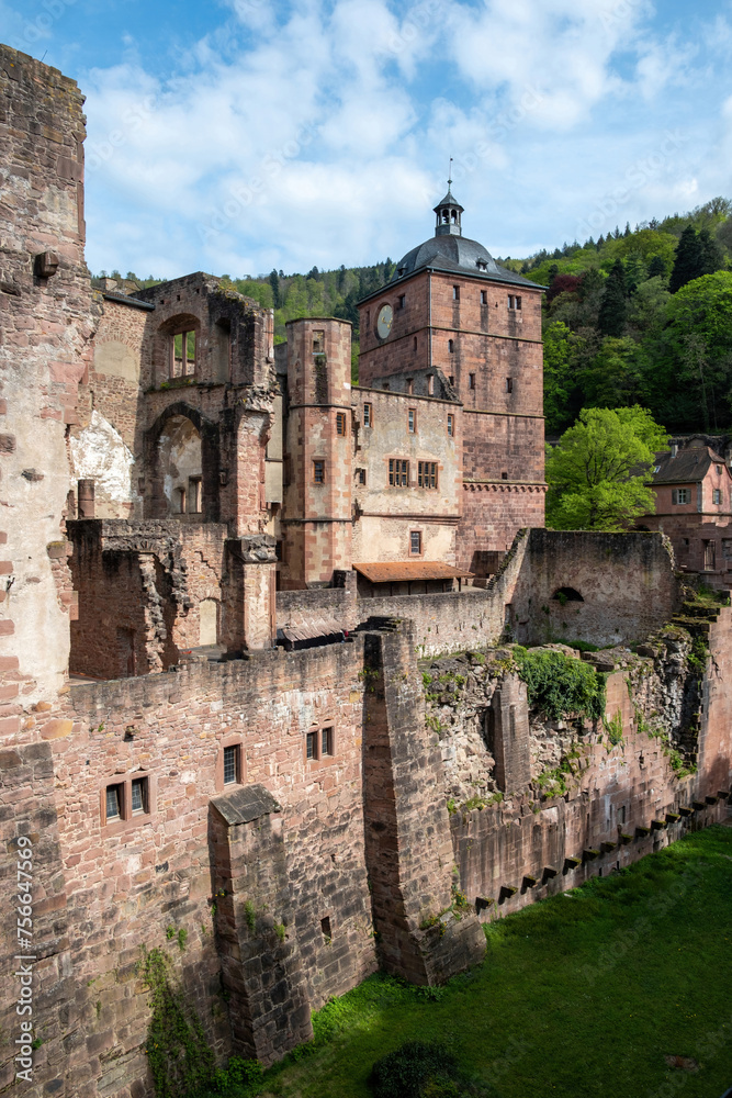 Germany Heidelberg Schloss in Baden-Wurttemberg. Ancient Heidelberg Castle ruins in forest. Vertical