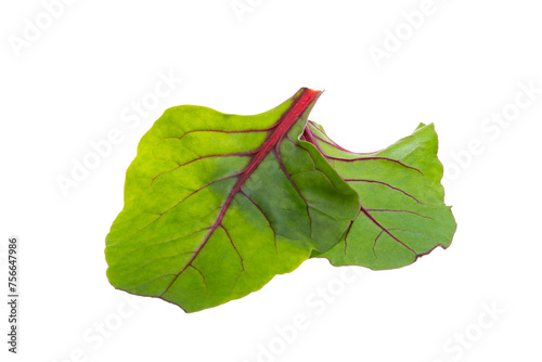 lettuce leaf mix isolated © ksena32