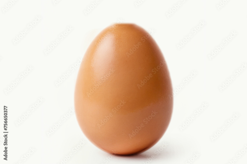 Single Egg isolated on White Background generative ai. Single Egg isolated on White Background generative ai.