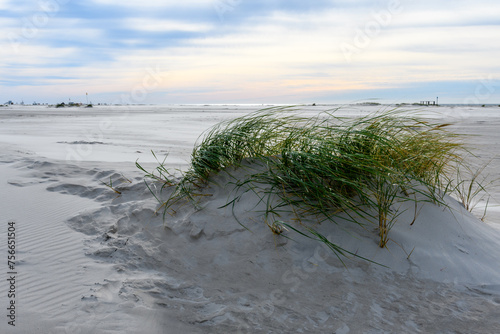 Fototapeta Naklejka Na Ścianę i Meble -  Dunes and beach on the North Frisian Island Amrum in Germany	
