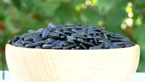 Roasted Sunflower Seeds Close-up Rotate in wooden bowl on plants background Harvesting Sunflower Unpeeled Seeds, Healthy Source of Vitamins in Vegan Food. Raw Materials for Sunflower Oil