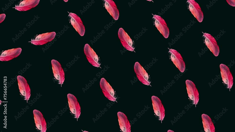 Red Feathers Pattern on Black Background Red Feathers Pattern on Black Background