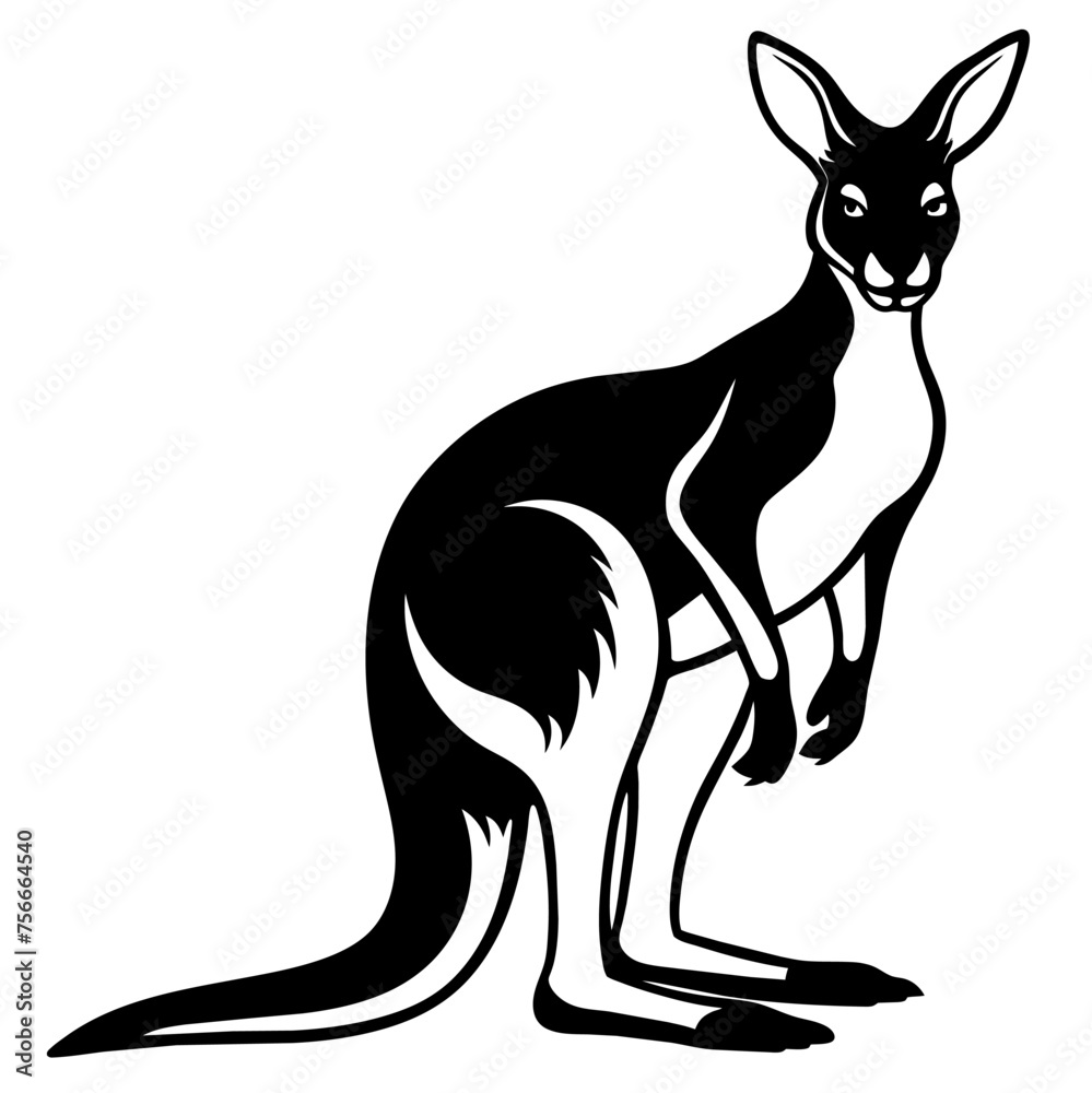 Vector of cartoon kangaroo illustration on white
Vector of cartoon kangaroo illustration on white