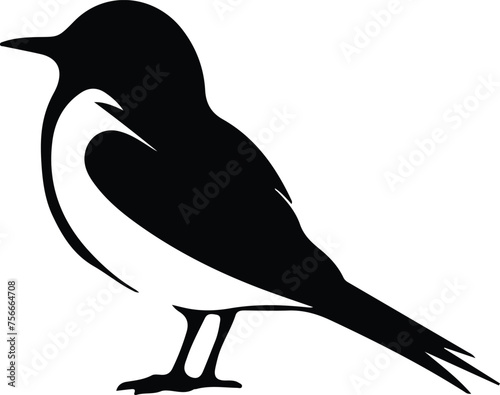 Arctictern silhouette