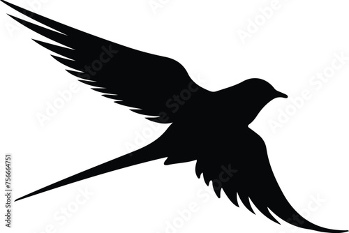 Arctictern silhouette