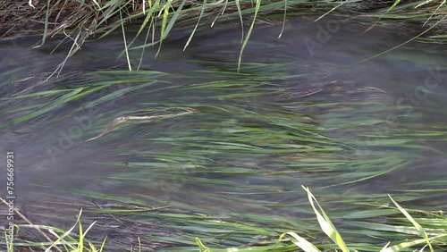 Water flowing into a ditch with grass, rural countryside landscape