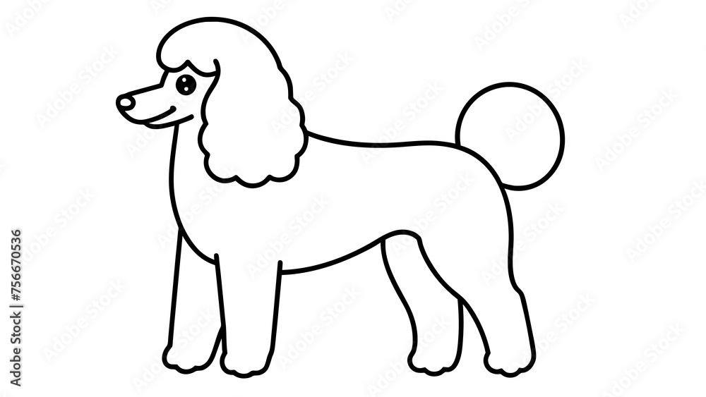 poodle clipart black and white withe white background vector illustration