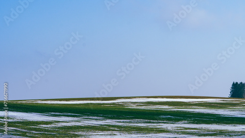 Spring landscape