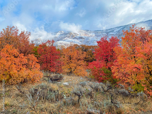 Autumnn in the Mountains photo