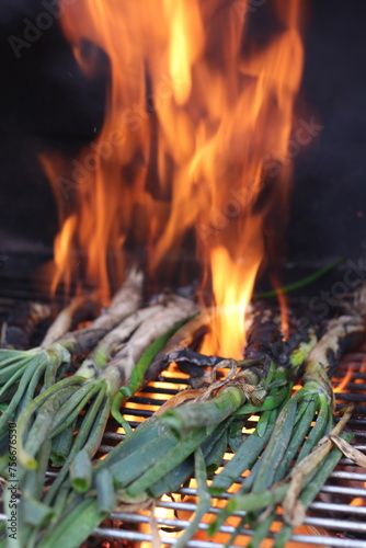 Calçotada a la barbacoa, típica cebolla dulce catalana cocida con llama