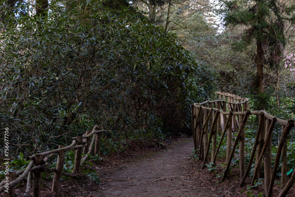 A path through a forest with a wooden fence on the right side A path through a forest with a wooden fence on the right side
