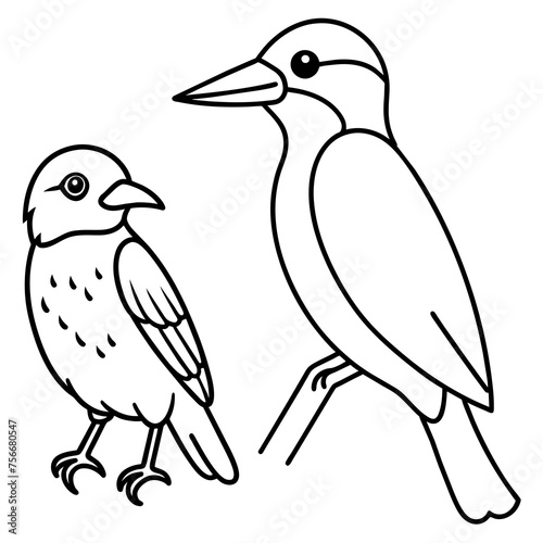 coloring-pages-with-kingfisher-and-canary-bird