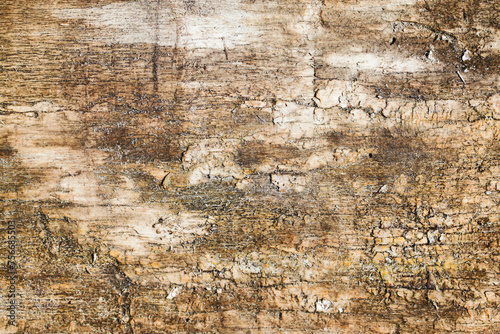 Grunge cracked wood background. Brown color weathered surface. Broken wood plank structure. Vintage board pattern design. Rotten tree texture. Wet bark trunk.