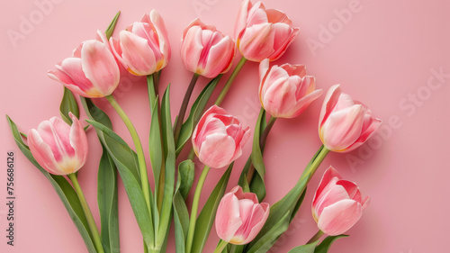 Romantic Pink Tulips: Capturing Spring's Beauty