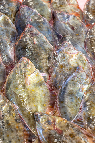 Food - fish on market