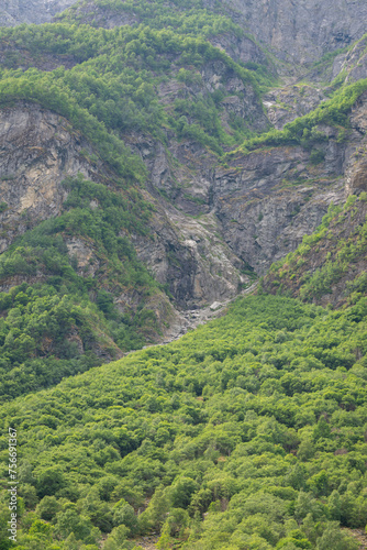 Norwegian fjord mountain scenery with rocks on which green plants and trees grow on a warm summer day.