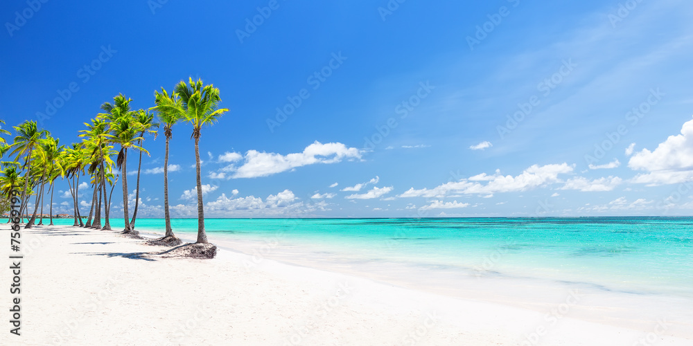 Beautiful tropical white sand beach and coconut palm tree in Cap Cana Dominican Republic.