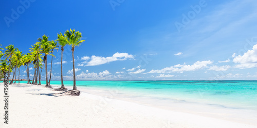 Beautiful tropical white sand beach and coconut palm tree in Cap Cana Dominican Republic.