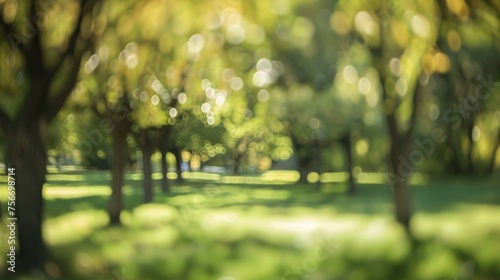 Nature's Whisper: Soft Focus Park Canopy and Bokeh