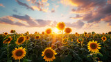 Sunflowers, Field of blooming sunflowers, Summer landscape: beauty sunset over sunflowers field, Generative AI
